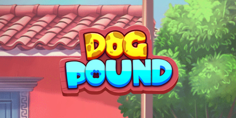 Dog Pound खेलने के अड्डे