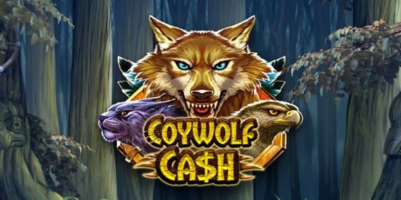 Coywolf Cash: असली जंगली स्लॉट?